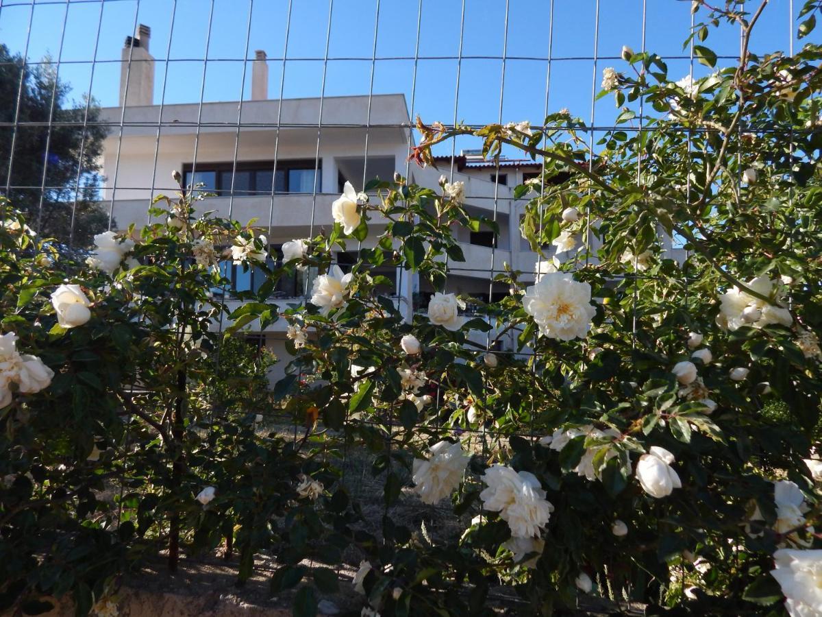 Apartment οδυσσεια, κοντά σε αεροδρόμιο, λιμάνια και θάλασσες