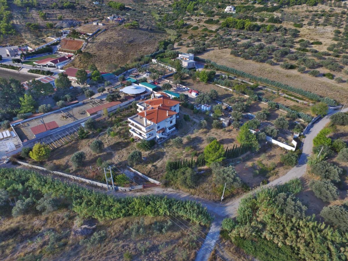 οδυσσεια, κοντά σε αεροδρόμιο, λιμάνια και θάλασσες *