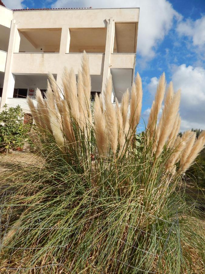 οδυσσεια, κοντά σε αεροδρόμιο, λιμάνια και θάλασσες Apartment