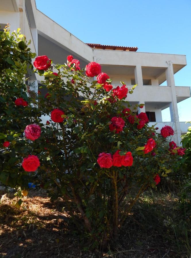 Apartment οδυσσεια, κοντά σε αεροδρόμιο, λιμάνια και θάλασσες Keratea