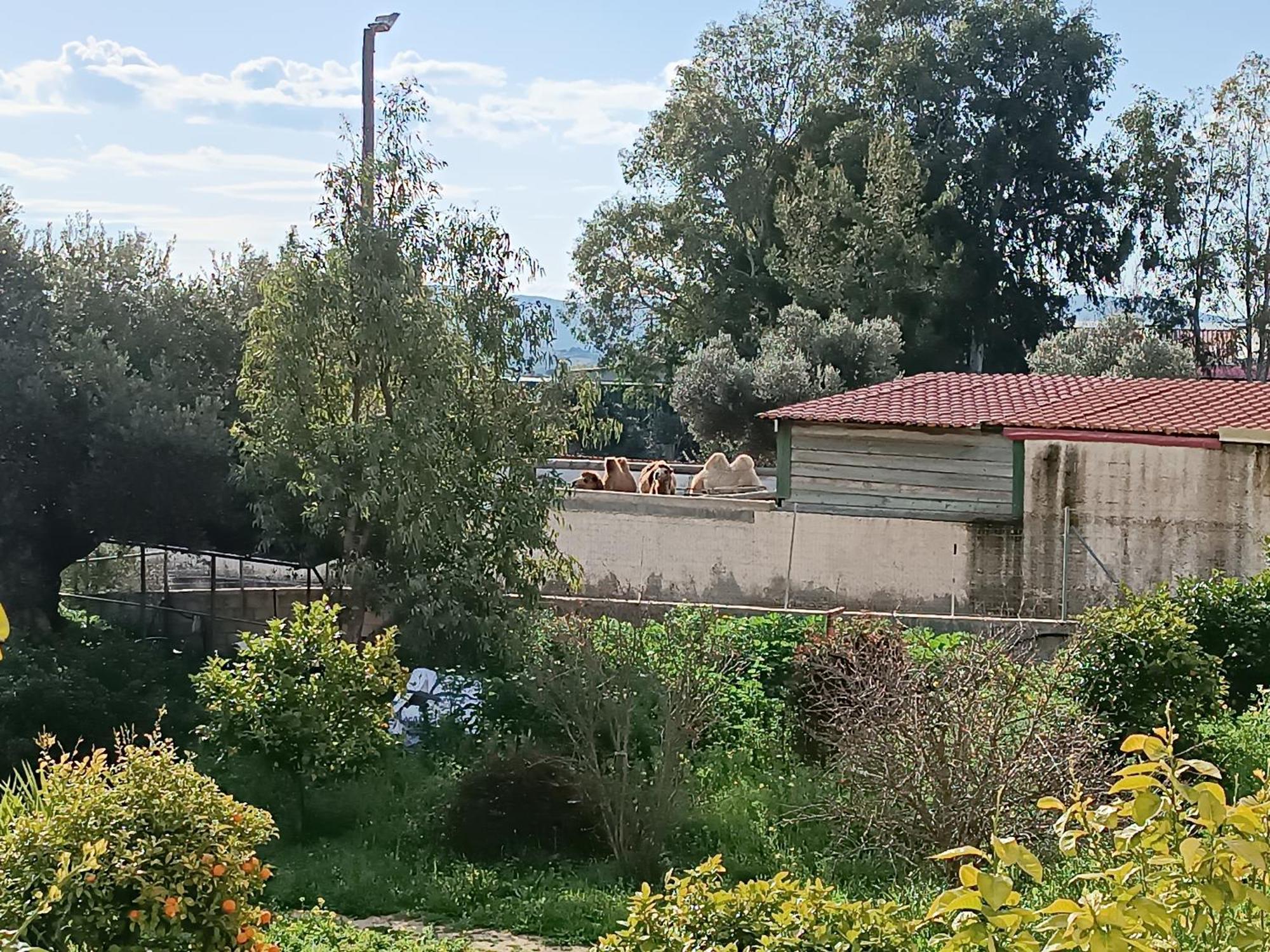 οδυσσεια, κοντά σε αεροδρόμιο, λιμάνια και θάλασσες Apartment *